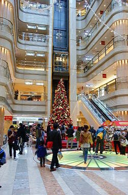 2階 ホールには巨大ツリーが