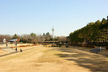 旧滑走路 (東側を望む)