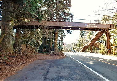 13:12 旧街道杉並木