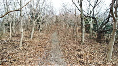 こういう景色が良いね!