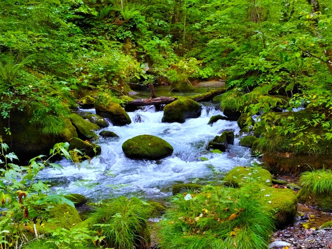 美しさのボルテージ急上昇