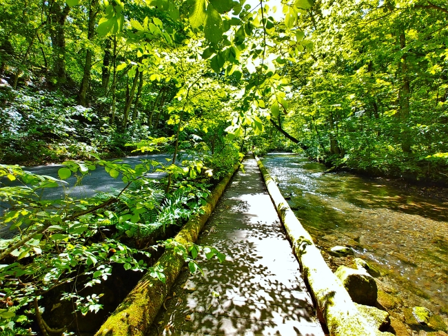 渓流に沿って走る国道