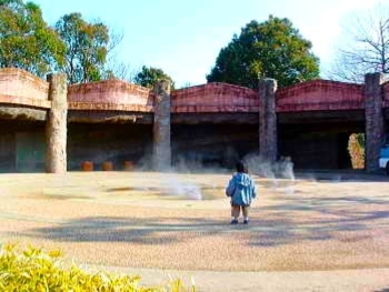 平成15年2月撮影