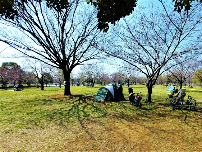 キャンプ場もあります