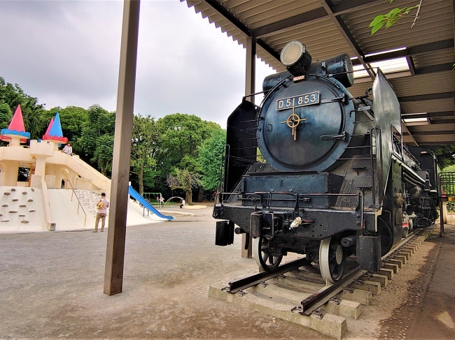 デゴイチも居ました