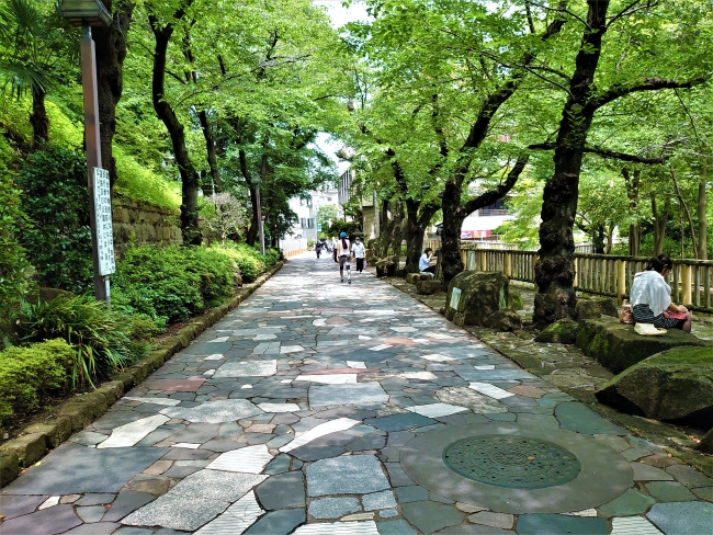 右手崖下は音無川