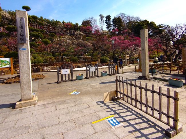 池上梅園に到着