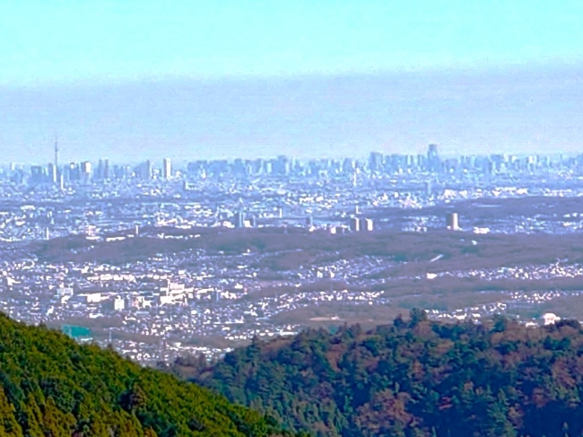 都心の摩天楼が見渡せます