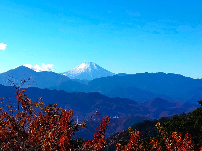 美しい富士の見納めです