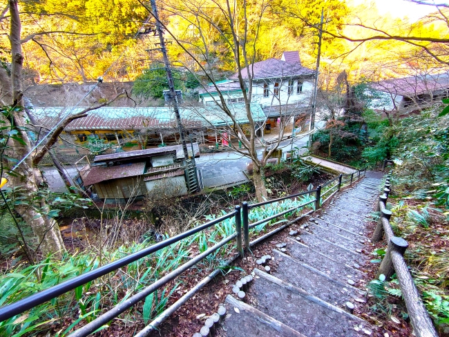 ハイキングコースの終点に到着