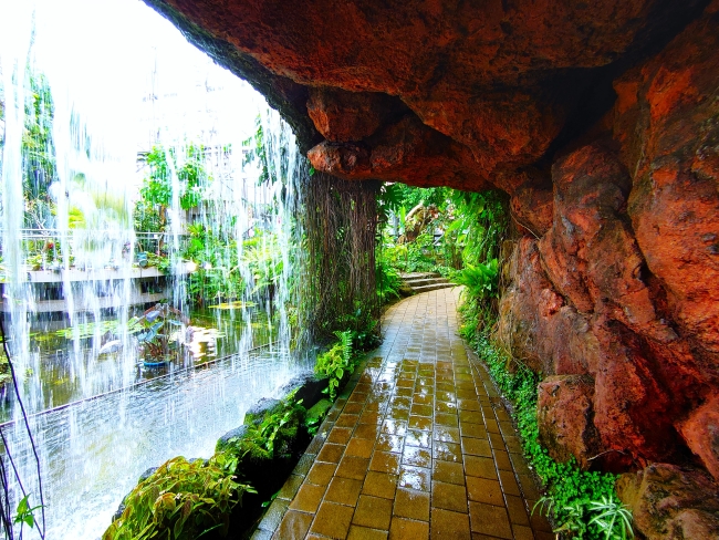 裏見の滝もありました